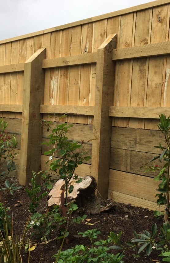 D1F9A815-EF3A-4BE9-9A9F-C944DB5D49A2